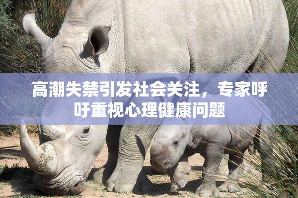 高潮失禁引发社会关注，专家呼吁重视心理健康问题
