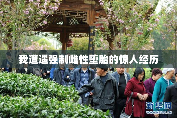 我遭遇强制雌性堕胎的惊人经历