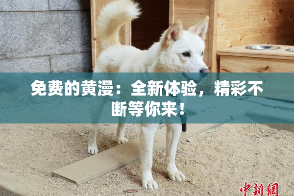 免费的黄漫：全新体验，精彩不断等你来！