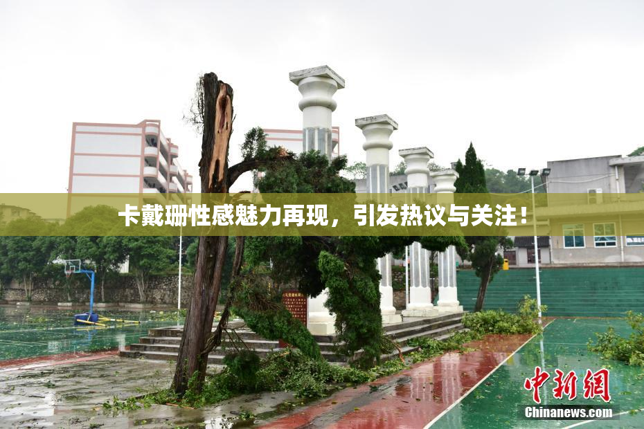 卡戴珊性感魅力再现，引发热议与关注！