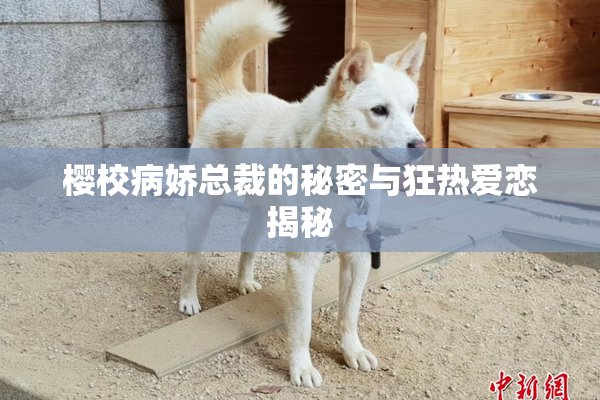 樱校病娇总裁的秘密与狂热爱恋揭秘