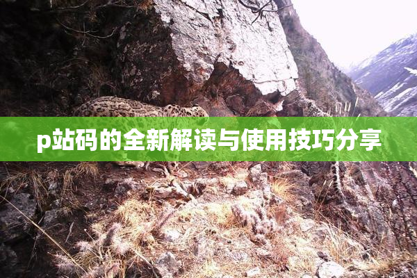 p站码的全新解读与使用技巧分享