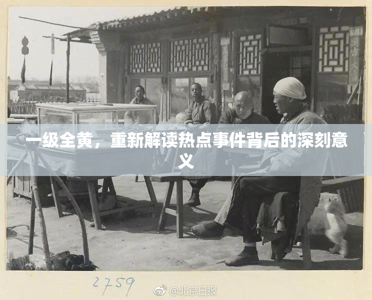 一级全黄，重新解读热点事件背后的深刻意义