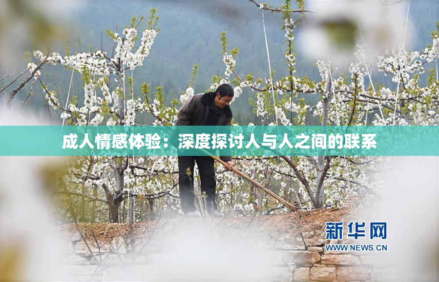 成人情感体验：深度探讨人与人之间的联系