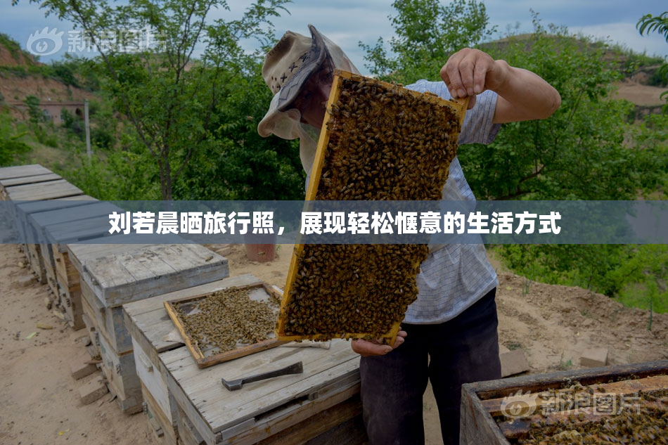 刘若晨晒旅行照，展现轻松惬意的生活方式
