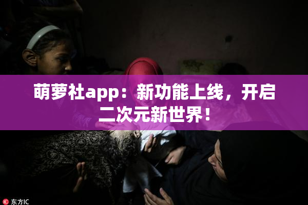 萌萝社app：新功能上线，开启二次元新世界！