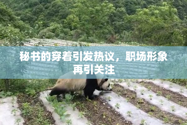 秘书的穿着引发热议，职场形象再引关注