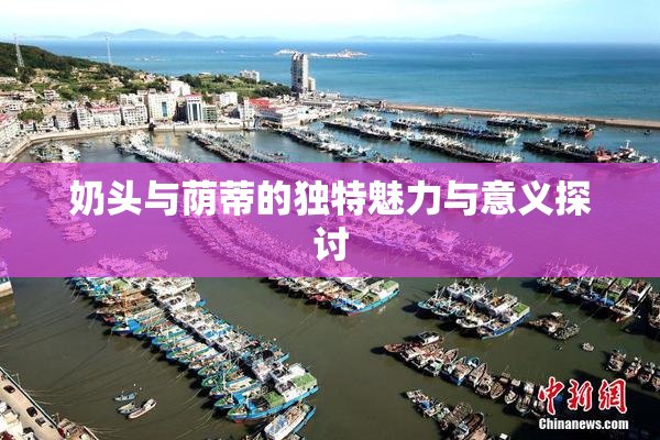奶头与荫蒂的独特魅力与意义探讨