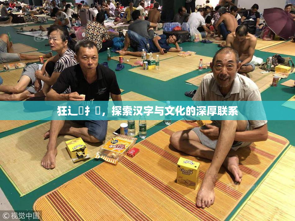 狂辶喿扌畐，探索汉字与文化的深厚联系
