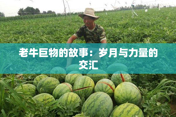 老牛巨物的故事：岁月与力量的交汇