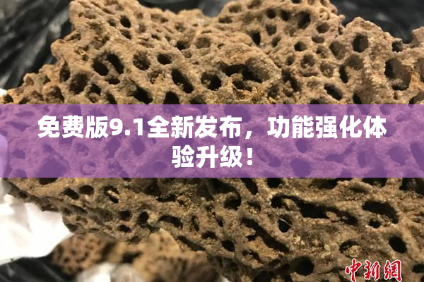 免费版9.1全新发布，功能强化体验升级！