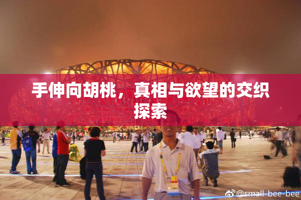 手伸向胡桃，真相与欲望的交织探索