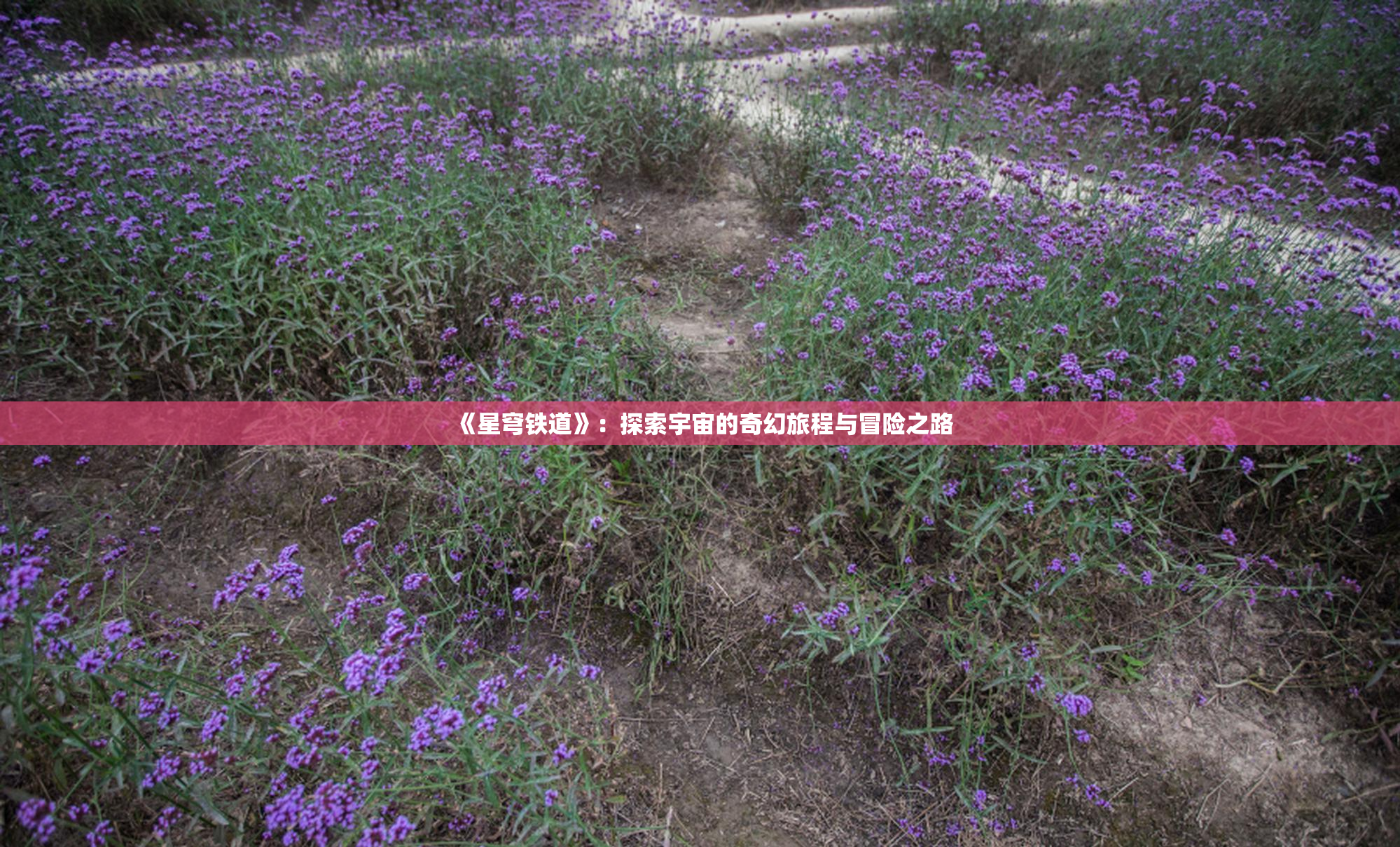 《星穹铁道》：探索宇宙的奇幻旅程与冒险之路