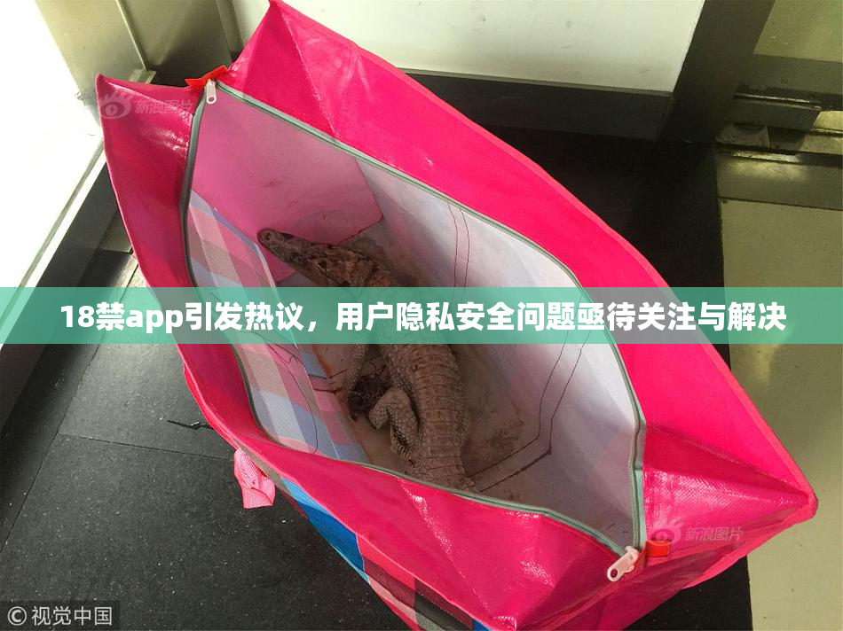 18禁app引发热议，用户隐私安全问题亟待关注与解决