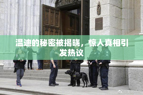 温迪的秘密被揭晓，惊人真相引发热议