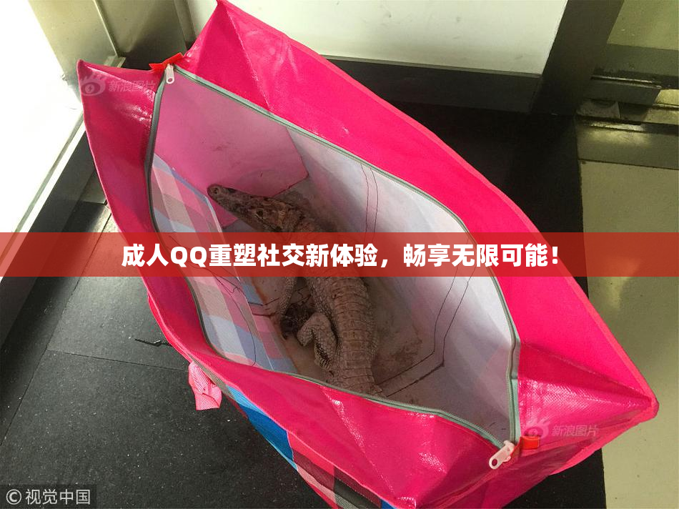 成人QQ重塑社交新体验，畅享无限可能！