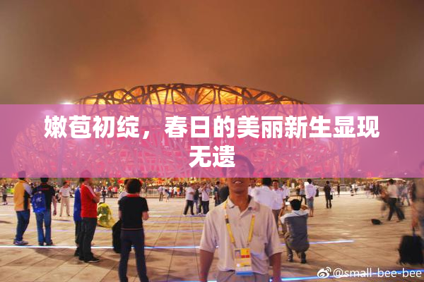 嫩苞初绽，春日的美丽新生显现无遗