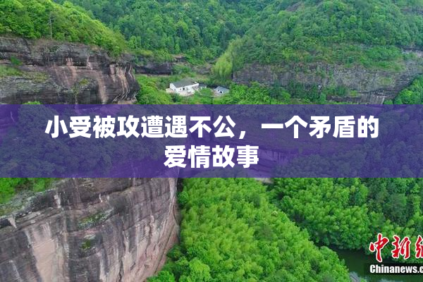 小受被攻遭遇不公，一个矛盾的爱情故事