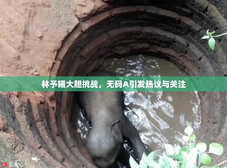 林予曦大胆挑战，无码A引发热议与关注