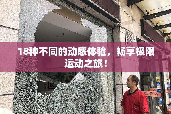 18种不同的动感体验，畅享极限运动之旅！