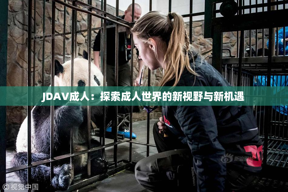 JDAV成人：探索成人世界的新视野与新机遇