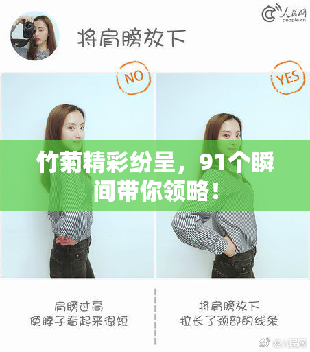 竹菊精彩纷呈，91个瞬间带你领略！