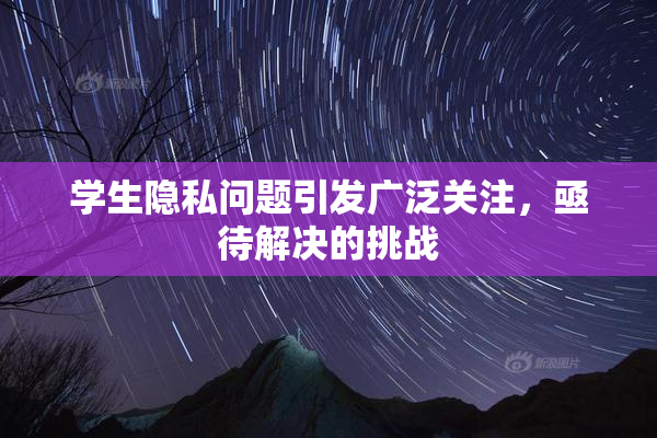 学生隐私问题引发广泛关注，亟待解决的挑战