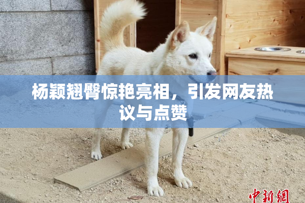 杨颖翘臀惊艳亮相，引发网友热议与点赞