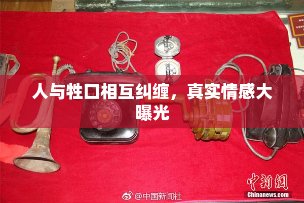 人与牲口相互纠缠，真实情感大曝光
