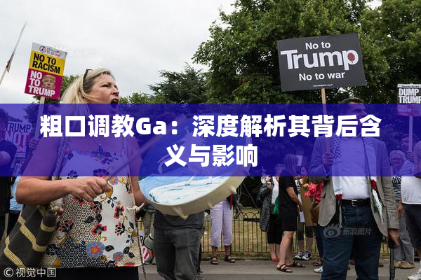 粗口调教Ga：深度解析其背后含义与影响