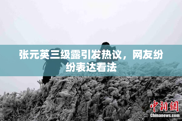 张元英三级露引发热议，网友纷纷表达看法