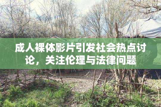 成人裸体影片引发社会热点讨论，关注伦理与法律问题