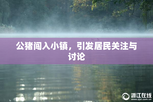 公猪闯入小镇，引发居民关注与讨论