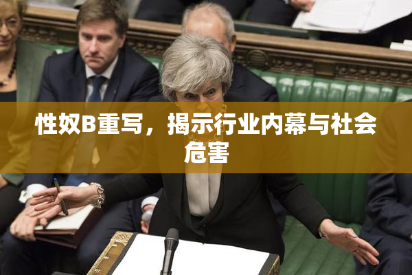 性奴B重写，揭示行业内幕与社会危害