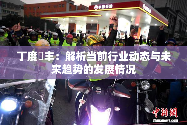 丁度巜丰：解析当前行业动态与未来趋势的发展情况