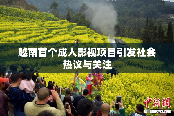 越南首个成人影视项目引发社会热议与关注
