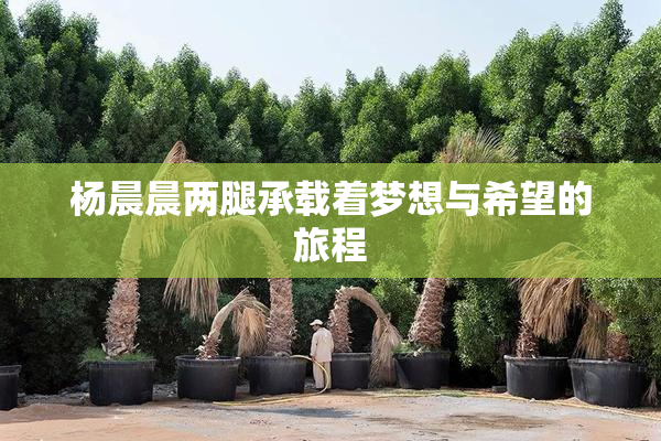 杨晨晨两腿承载着梦想与希望的旅程