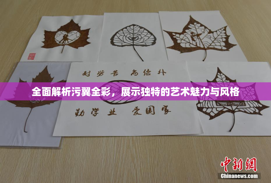 全面解析污翼全彩，展示独特的艺术魅力与风格