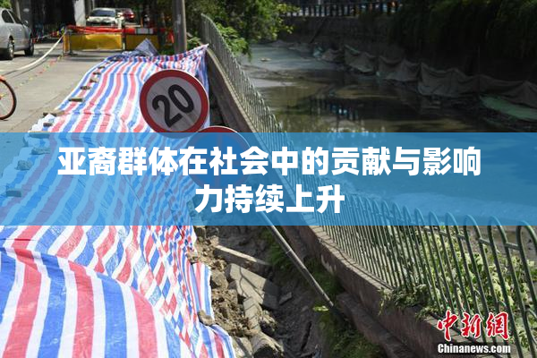 亚裔群体在社会中的贡献与影响力持续上升
