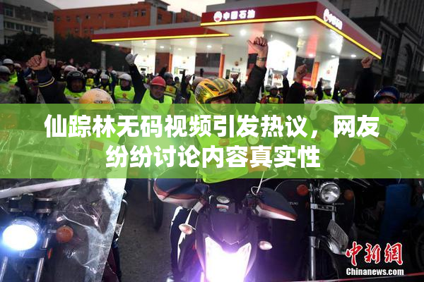 仙踪林无码视频引发热议，网友纷纷讨论内容真实性