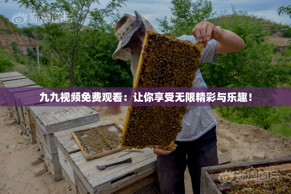九九视频免费观看：让你享受无限精彩与乐趣！