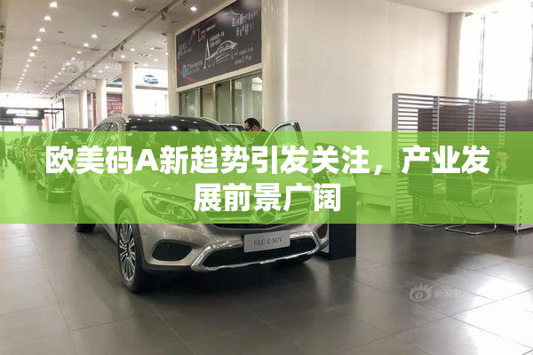 欧美码A新趋势引发关注，产业发展前景广阔