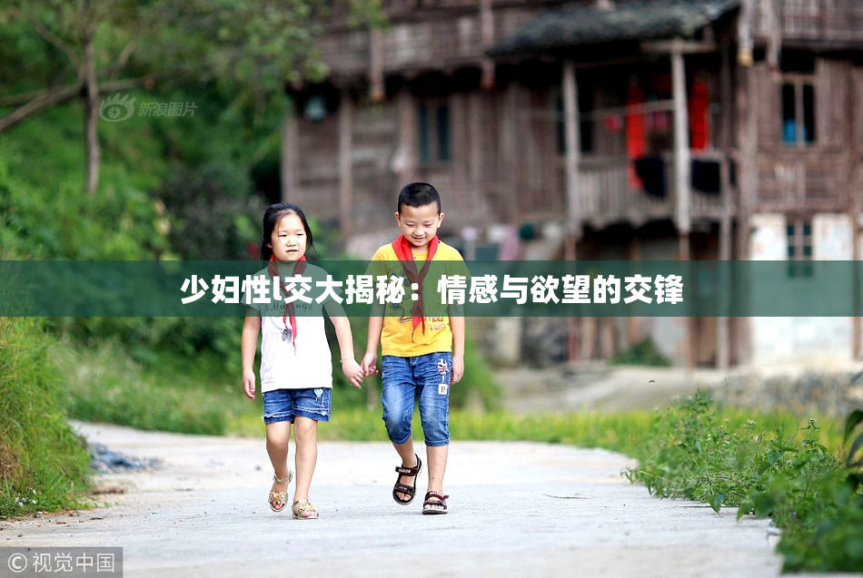 少妇性l交大揭秘：情感与欲望的交锋