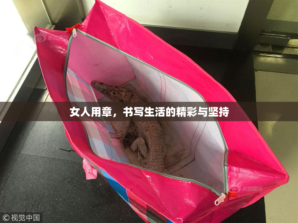 女人用章，书写生活的精彩与坚持