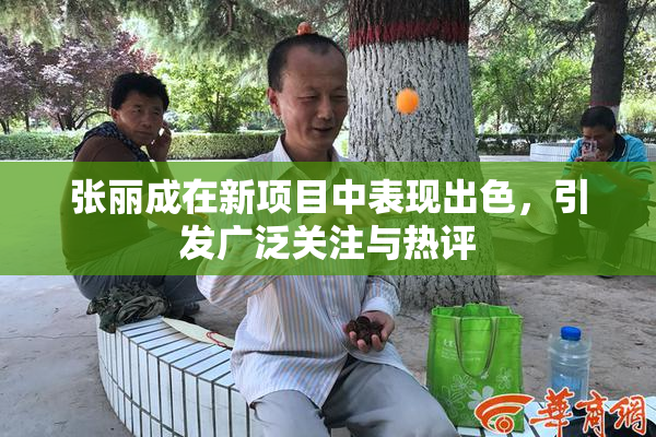 张丽成在新项目中表现出色，引发广泛关注与热评