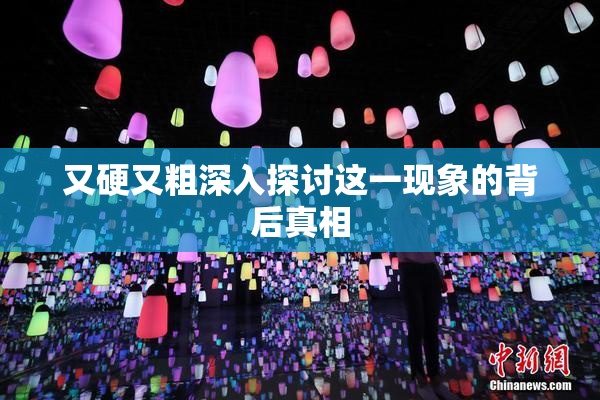 又硬又粗深入探讨这一现象的背后真相