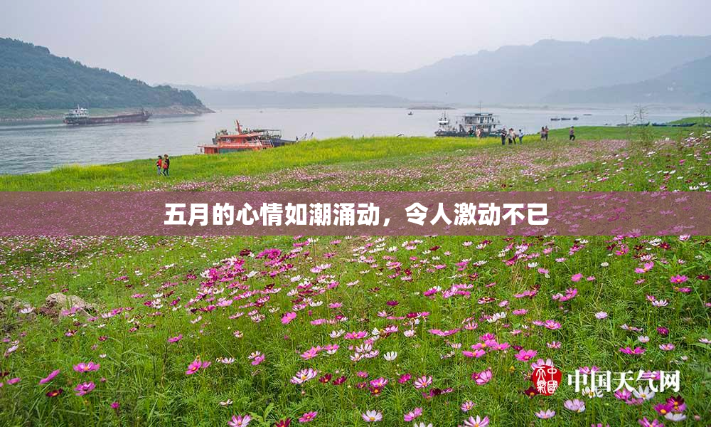 五月的心情如潮涌动，令人激动不已