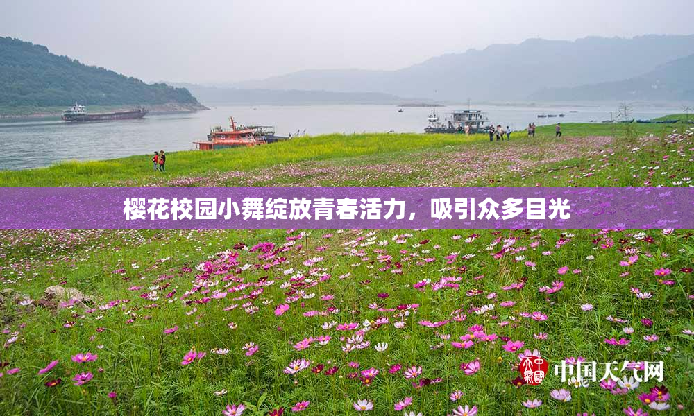 樱花校园小舞绽放青春活力，吸引众多目光