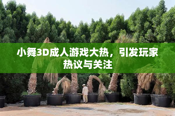 小舞3D成人游戏大热，引发玩家热议与关注
