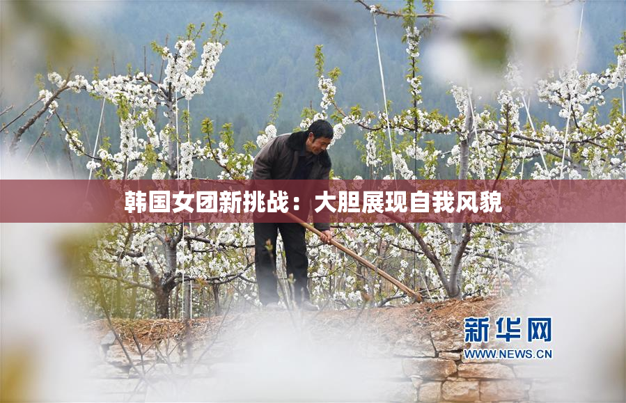 韩国女团新挑战：大胆展现自我风貌